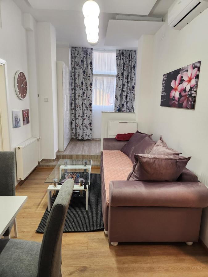 Apartman Zagreb Cca 42M2 With Free Parking Exteriér fotografie