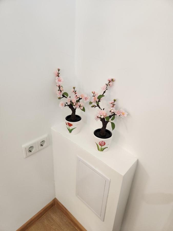 Apartman Zagreb Cca 42M2 With Free Parking Exteriér fotografie