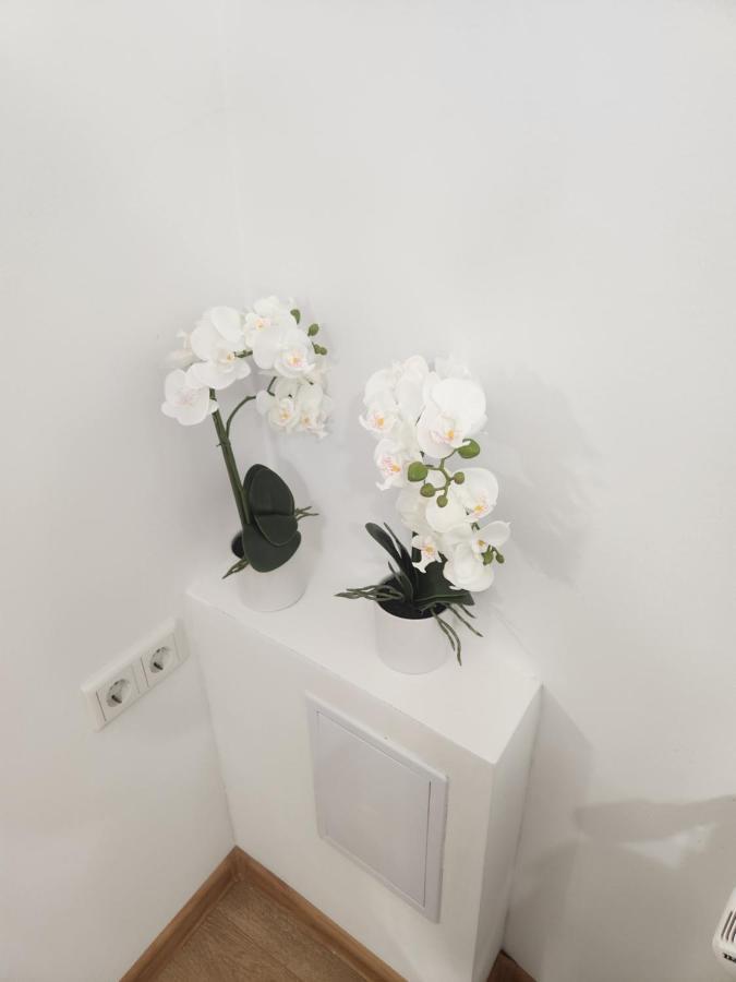 Apartman Zagreb Cca 42M2 With Free Parking Exteriér fotografie